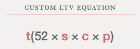 ltv equation