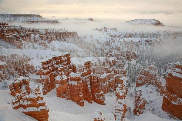 Dyer and Jenkins Great 59 Guide Bryce Canyon Social Currency Contagious Jonah Berger ReferralCandy