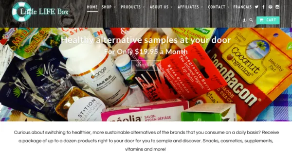 subscription-services-little-life-box