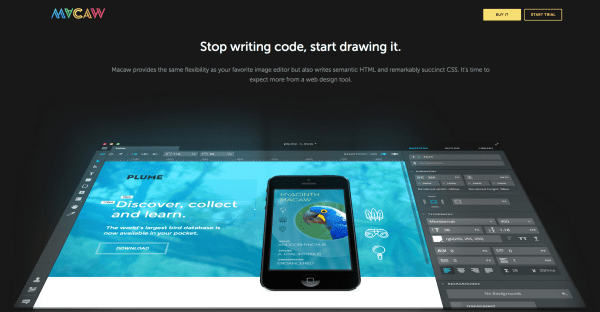 macaw-web-design