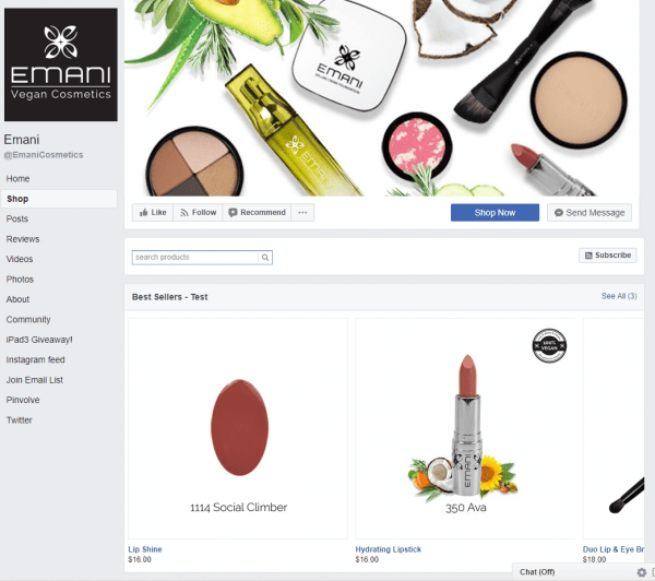 shopify traffic - how to get traffic to shopify store -- emani cosmetics facebook shop